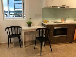 The Hillford (D21), Apartment #483551091